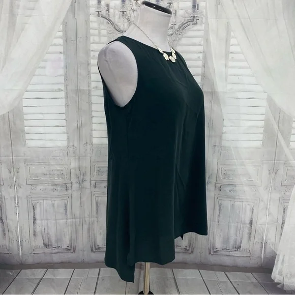 Eileen Fisher XS Ivy Green Bateau Neck Long Shell Silk Georgette Tank Top Silk